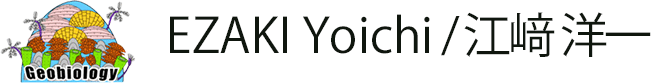 EZAKI Yoichi / 江﨑　洋一
